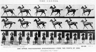 The Canter: One Stride Photographer Synchronously from Two Points of View, illustration from 